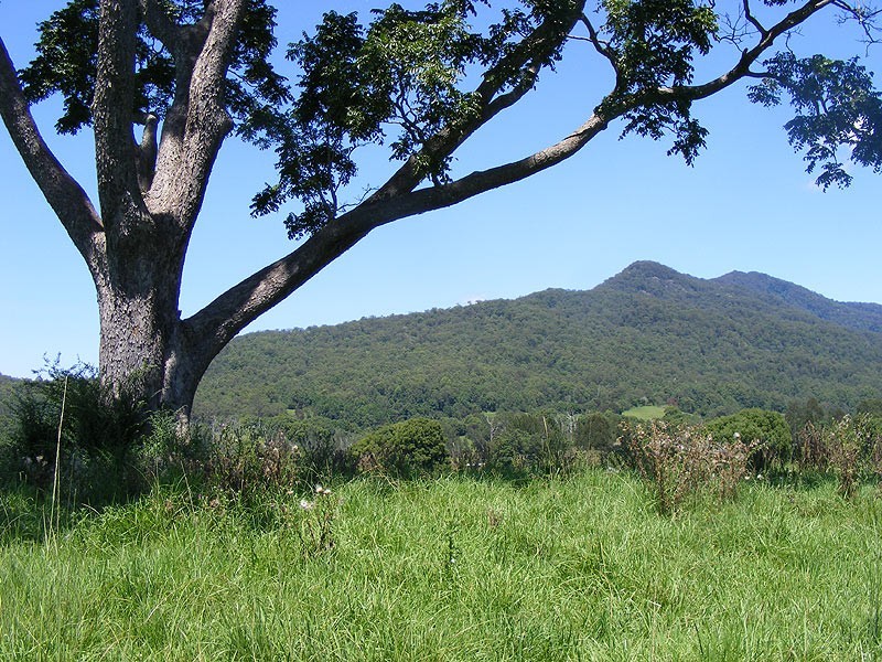 190 Gordonville Road Gleniffer, Bellingen NSW 2454