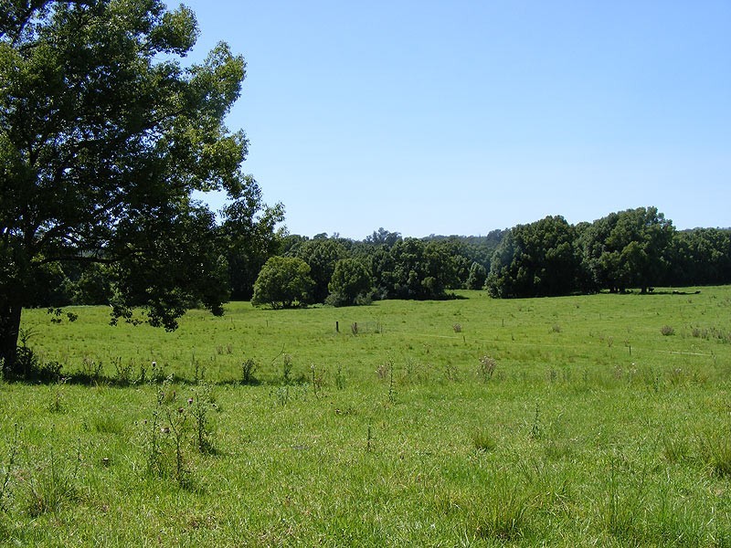 190 Gordonville Road Gleniffer, Bellingen NSW 2454