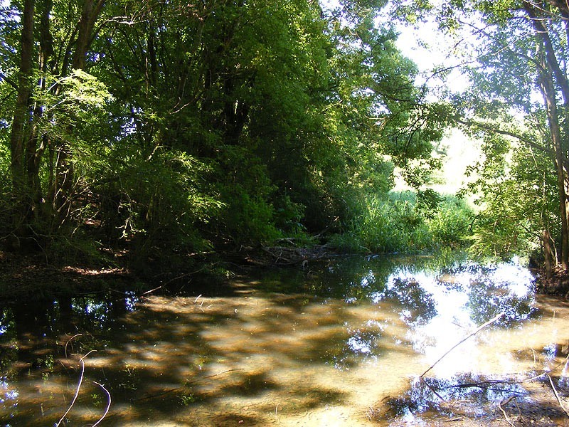 190 Gordonville Road Gleniffer, Bellingen NSW 2454