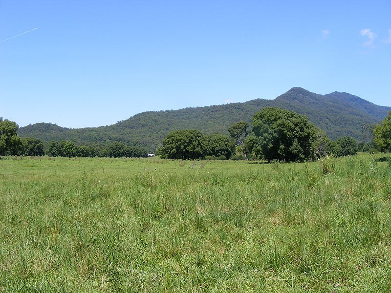 190 Gordonville Road Gleniffer, Bellingen NSW 2454
