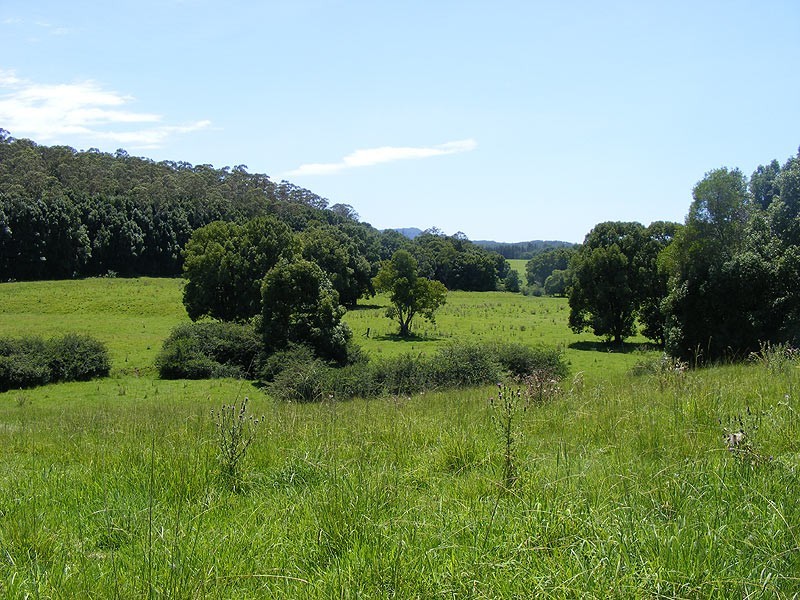 190 Gordonville Road Gleniffer, Bellingen NSW 2454