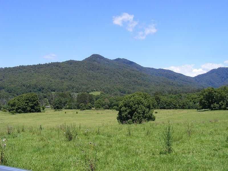 190 Gordonville Road Gleniffer, Bellingen NSW 2454