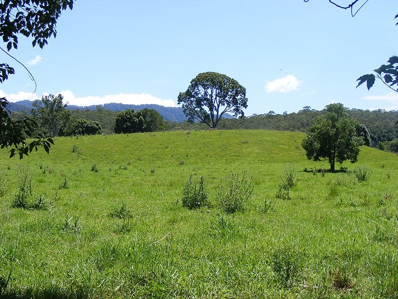 190 Gordonville Road Gleniffer, Bellingen NSW 2454