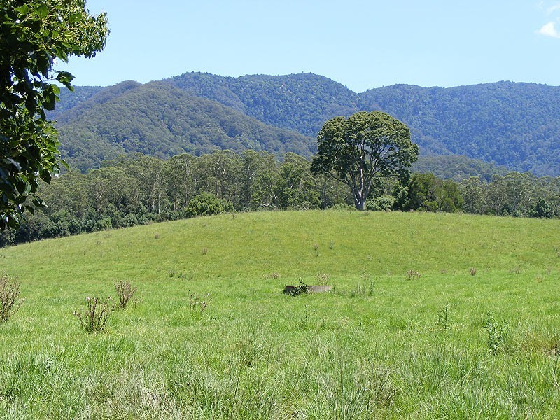 190 Gordonville Road Gleniffer, Bellingen NSW 2454