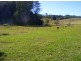 Bellingen NSW 2454
