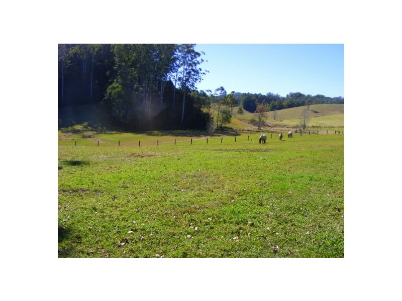 Bellingen NSW 2454