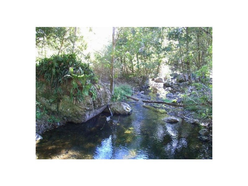 299 Promised Land Road Gleniffer, Bellingen NSW 2454