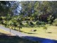 3 Ridgewood Drive Raleigh, Bellingen NSW 2454