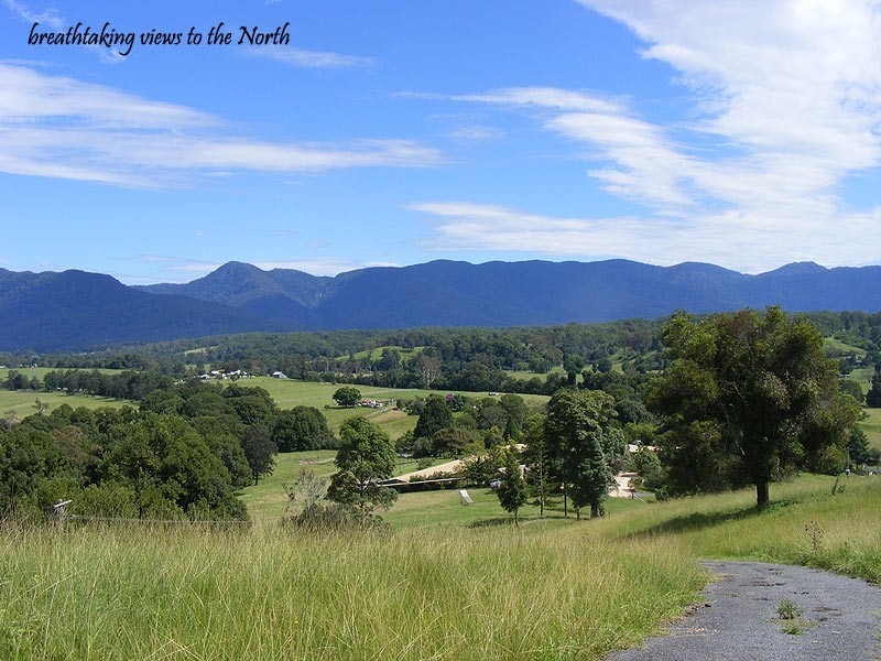 1333 Waterfall Way, Bellingen NSW 2454
