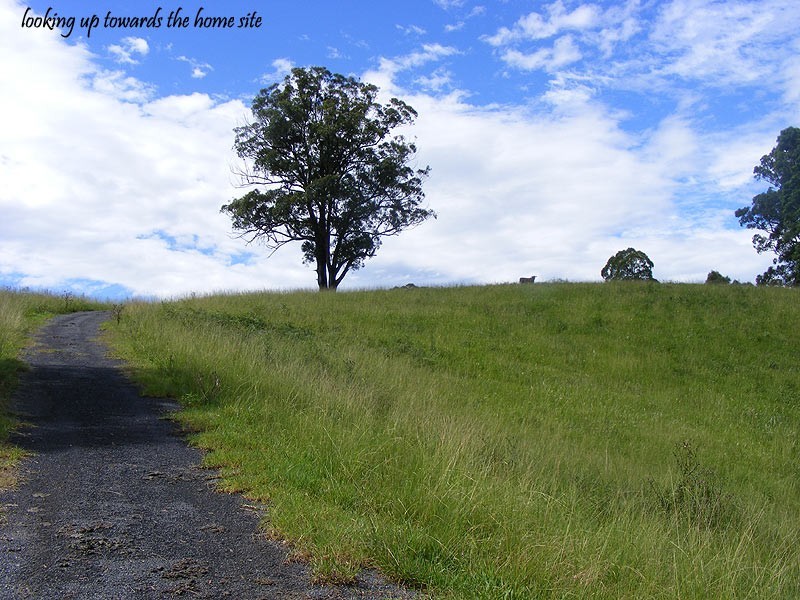 1333 Waterfall Way, Bellingen NSW 2454