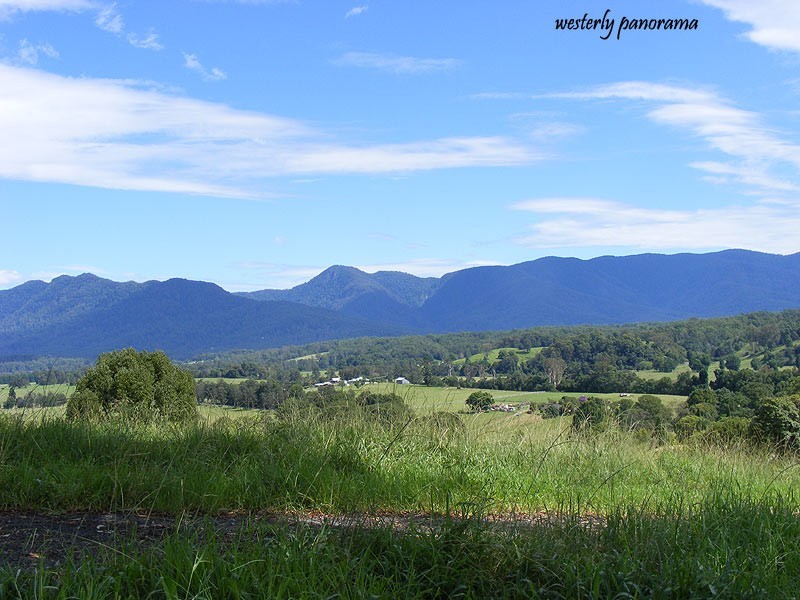 1333 Waterfall Way, Bellingen NSW 2454