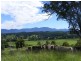 1333 Waterfall Way, Bellingen NSW 2454