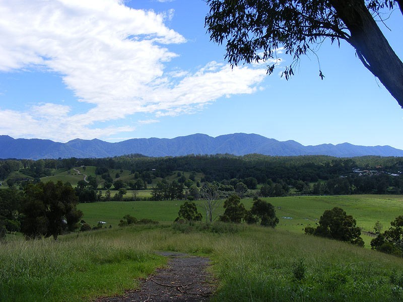 1333 Waterfall Way, Bellingen NSW 2454