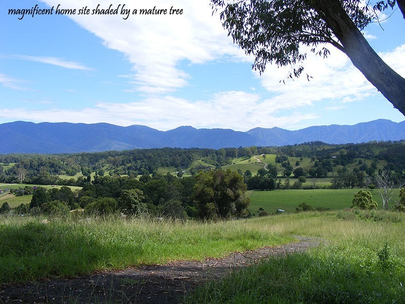 1333 Waterfall Way, Bellingen NSW 2454