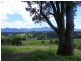 1333 Waterfall Way, Bellingen NSW 2454