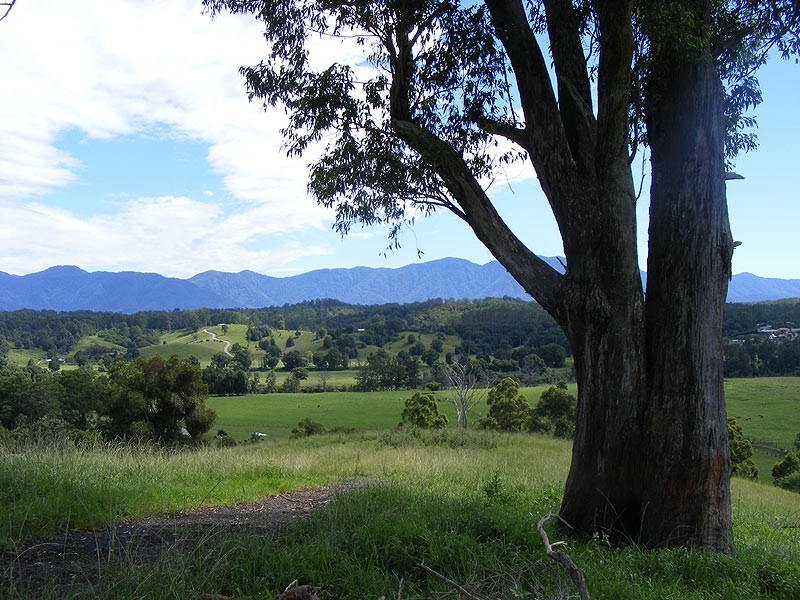 1333 Waterfall Way, Bellingen NSW 2454