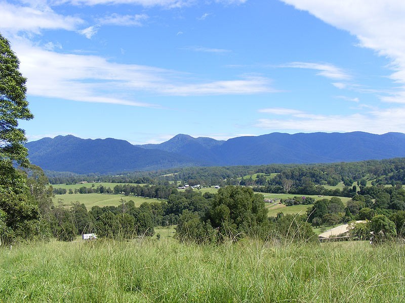 1333 Waterfall Way, Bellingen NSW 2454