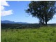 1333 Waterfall Way, Bellingen NSW 2454