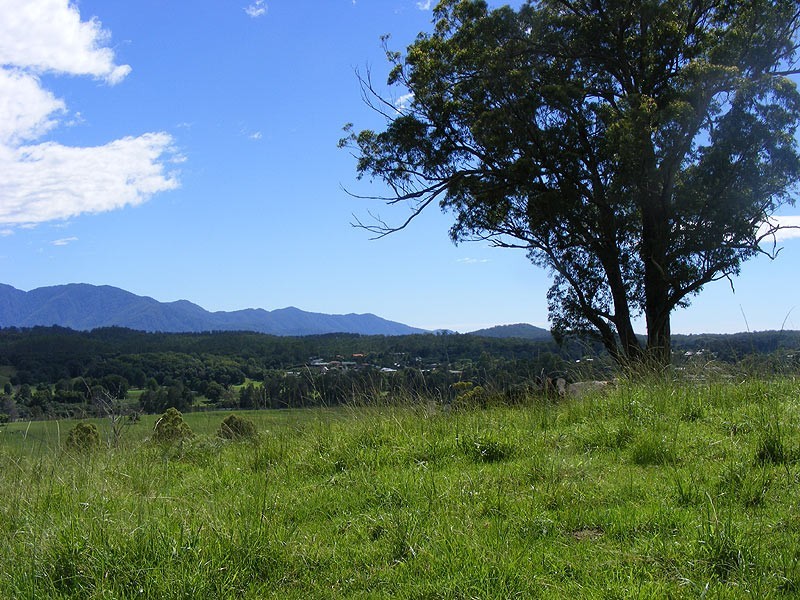 1333 Waterfall Way, Bellingen NSW 2454