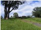 1333 Waterfall Way, Bellingen NSW 2454