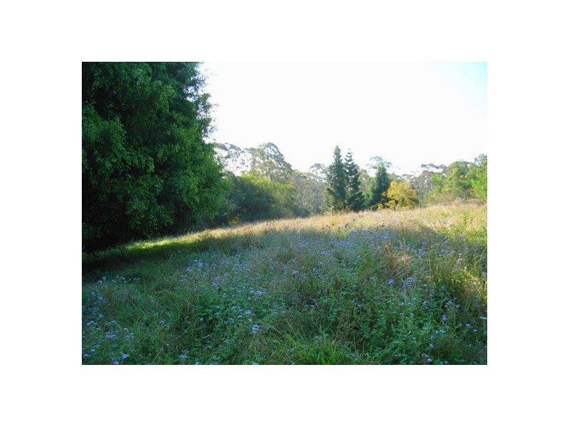 19 Forest Drive, Repton NSW 2454