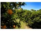 18 Hobson Close, Bellingen NSW 2454