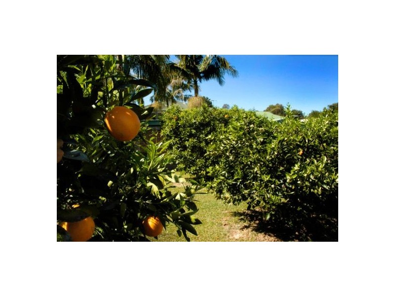 18 Hobson Close, Bellingen NSW 2454