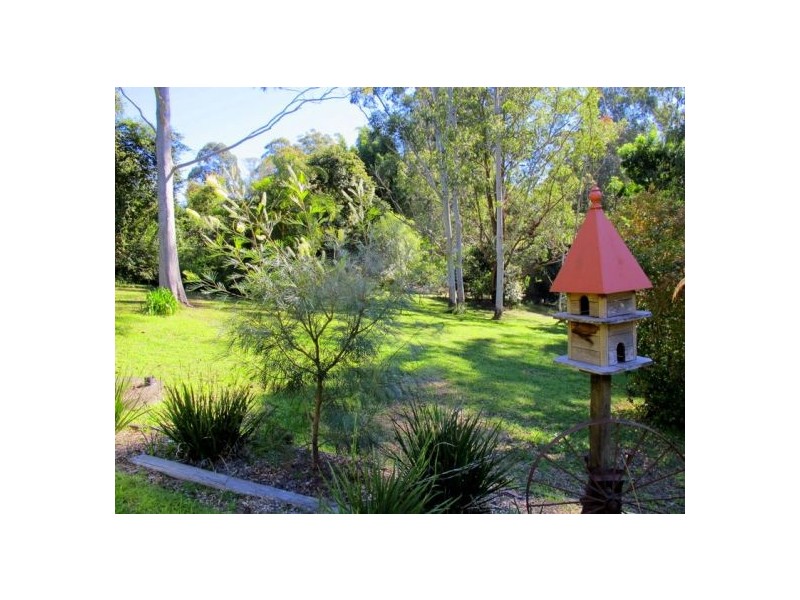 53 Forest Drive, Repton NSW 2454