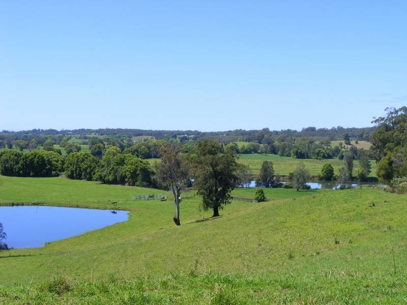 756 North Bank Road, Bellingen NSW 2454