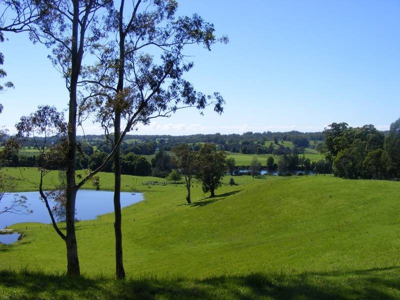 756 North Bank Road, Bellingen NSW 2454