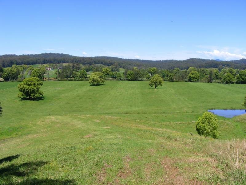 756 North Bank Road, Bellingen NSW 2454