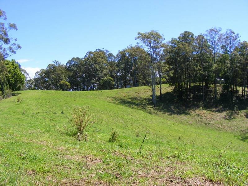 756 North Bank Road, Bellingen NSW 2454