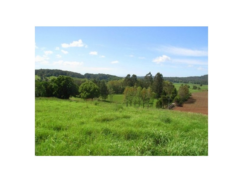 347 North Bank Road, Bellingen NSW 2454