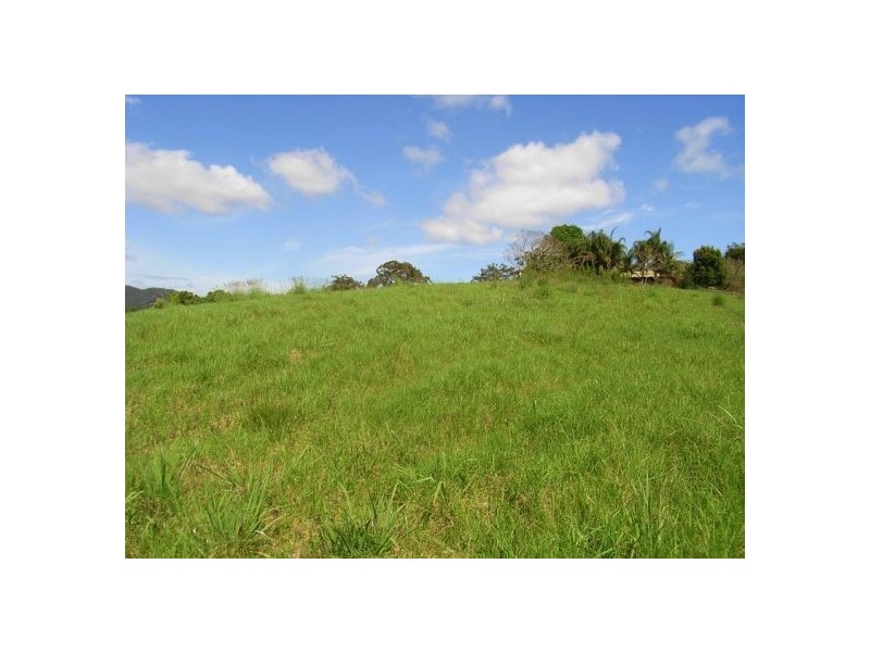 347 North Bank Road, Bellingen NSW 2454