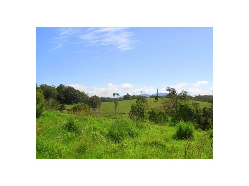 347 North Bank Road, Bellingen NSW 2454