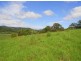 347 North Bank Road, Bellingen NSW 2454