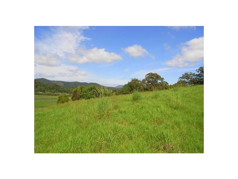 347 North Bank Road, Bellingen NSW 2454