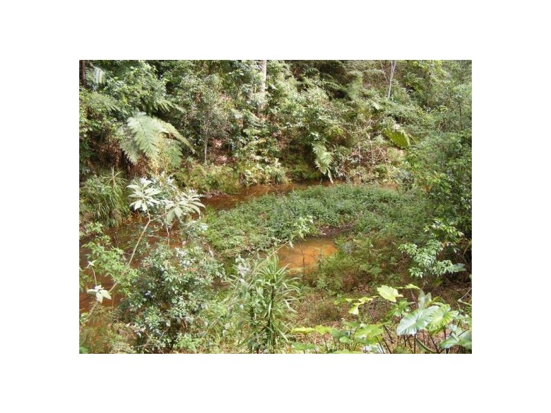 51 Martins Road, Bellingen NSW 2454