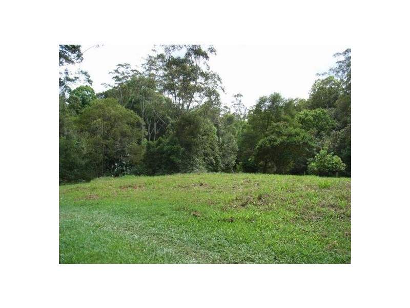 51 Martins Road, Bellingen NSW 2454