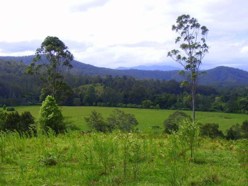 Bellingen NSW 2454