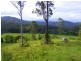 Bellingen NSW 2454