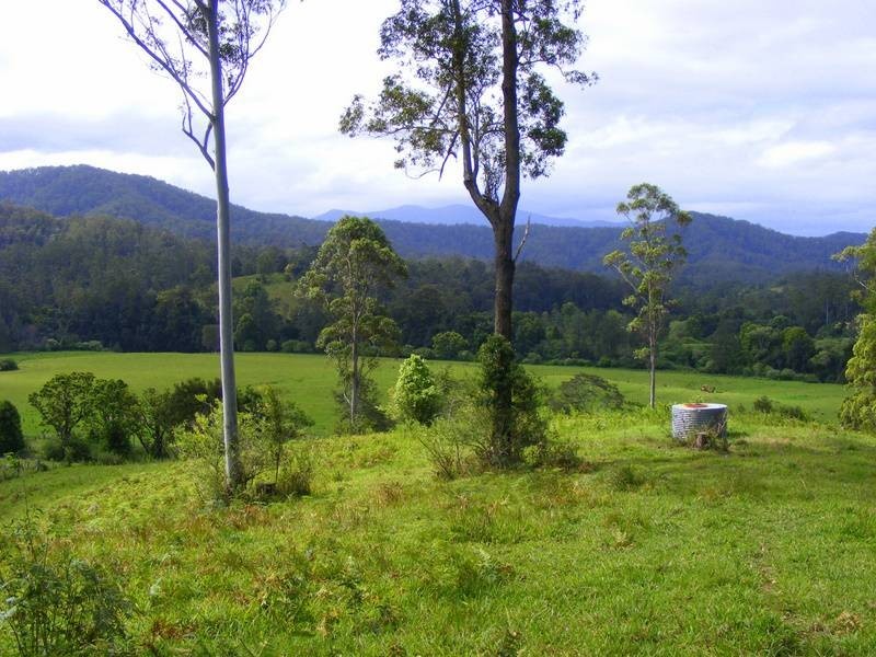 Bellingen NSW 2454