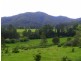 Bellingen NSW 2454