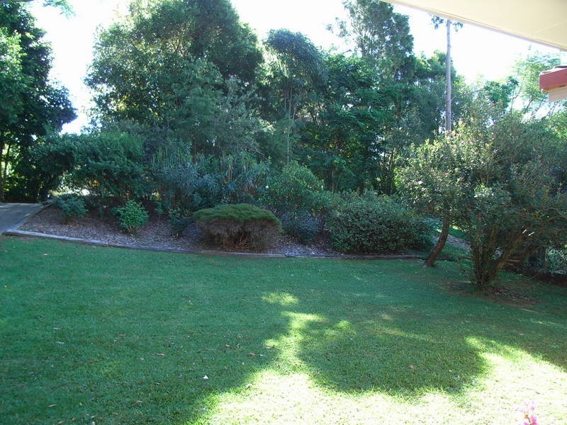 Bellingen NSW 2454