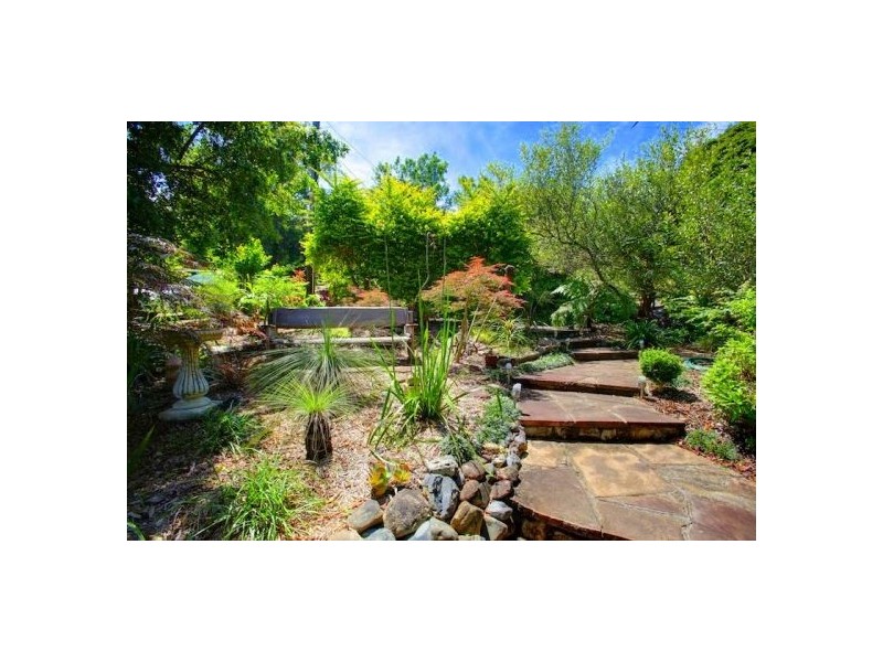 44 Lyon St, Bellingen NSW 2454