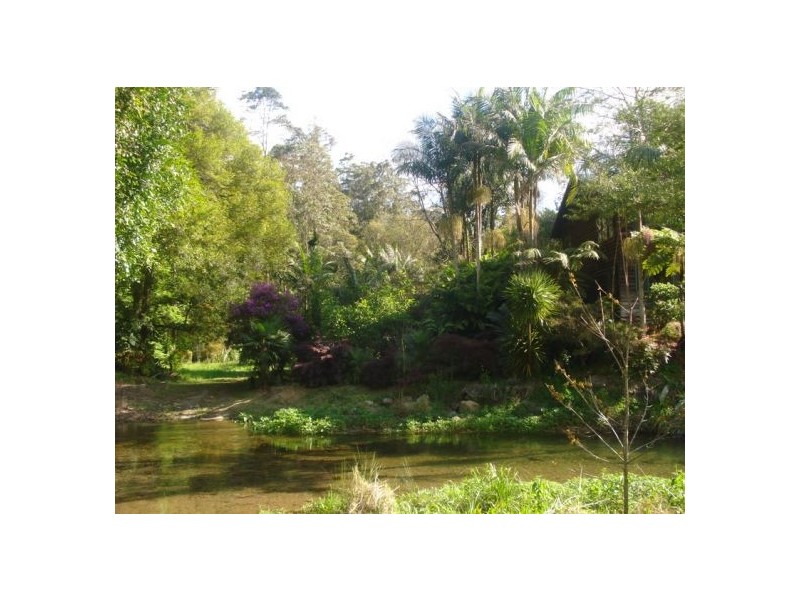 1824 Bishops Creek Darkwood, Bellingen NSW 2454