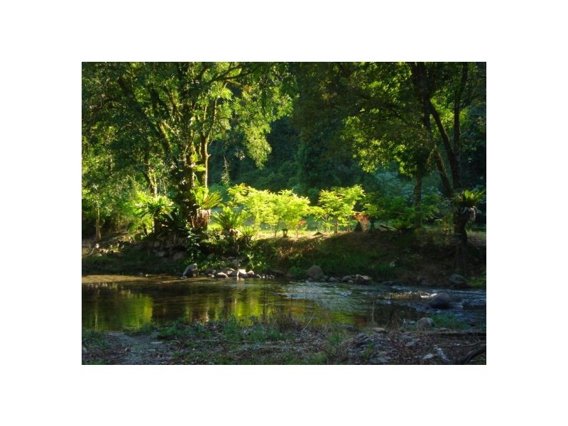 1824 Bishops Creek Darkwood, Bellingen NSW 2454