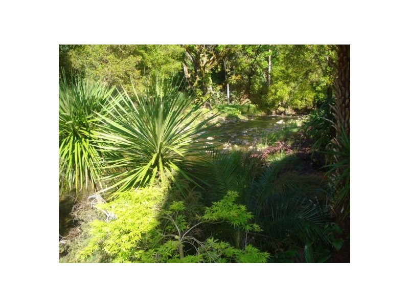 1824 Bishops Creek Darkwood, Bellingen NSW 2454