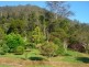 1824 Bishops Creek Darkwood, Bellingen NSW 2454