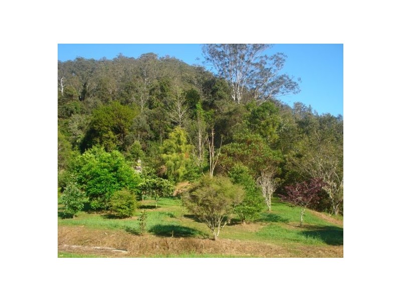 1824 Bishops Creek Darkwood, Bellingen NSW 2454